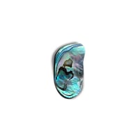 Image 1 of Abalone option 8