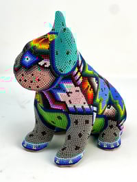 Image 2 of French Bulldog Puppy Vol 3 004