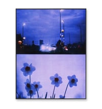 Image 2 of NIGHT DRIVE, DAFFODILS II