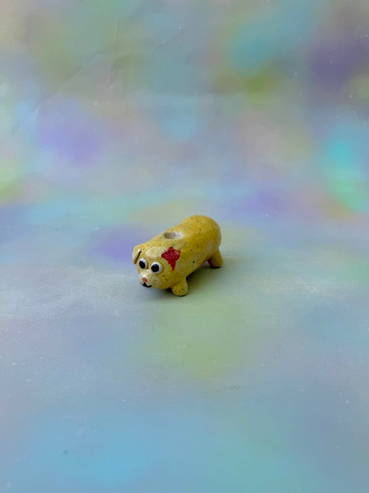 Image of optimistic puppy pipe