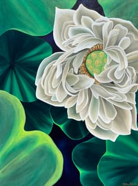 Image 1 of Blooming Lotus