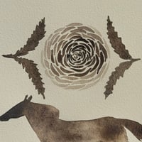 Image 7 of “a dream of wild and free”