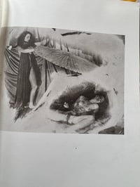 Image 8 of Perfect Sister, Brigitte Maria Mayer, 1991. SIGNED