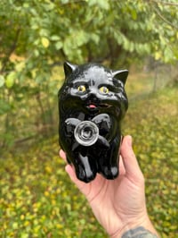 Image 2 of Medium Kittens 