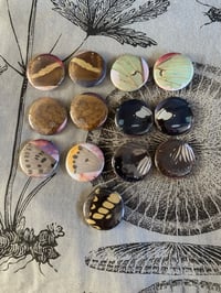 Image 2 of Real butterfly wing buttons 25 mm