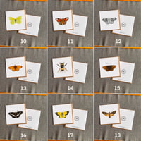 Image 2 of Greeting Card (various Designs) 6x6