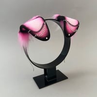 Image 2 of Black/Pink Chain Pup