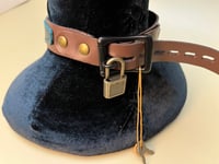 Image 3 of Brown and teal locking posture collar
