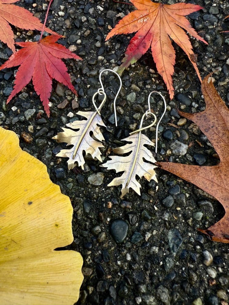 Image of Shumard Oak Leaf Brass Earrings