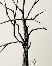 Dalby Study 2 (Framed Original)