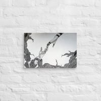 Image 2 of Canvas of Heilung