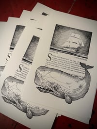Image 1 of Print "Moby Dick"