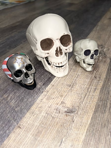 Image of Fritz Skullz Small and Large