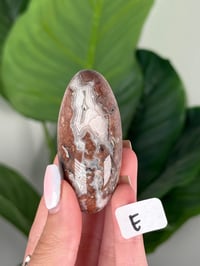Image 5 of MEDIUM SANGRIA LACE AGATE SHIVAS