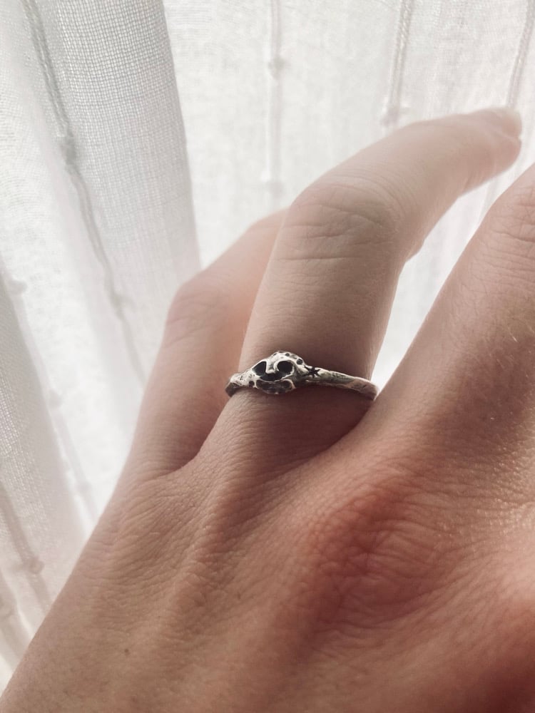 Image of Arianrhod ring • size L 1/2