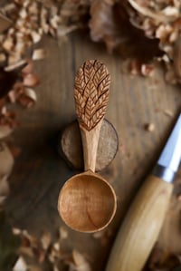 Image 1 of Falling Leaves Coffee  scoop