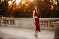 Image 2 of Christmas at the Carillon Minis Dec 6 Booking Fee