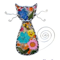 Image 1 of Real Flower Puss Cat