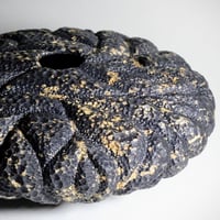 Image 1 of Oak Wood Hollow Form w/ Texture & Ebonized