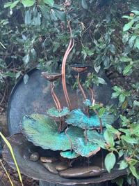 Image 1 of ⛲️🏡Winter Garden 