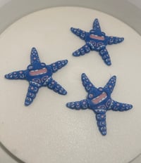 Image 2 of Flexi Star Fish 