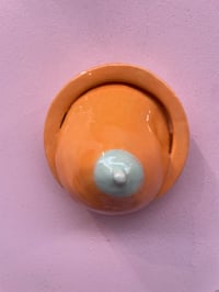 Image 1 of Borst aan de wand, oranje, nr 6
