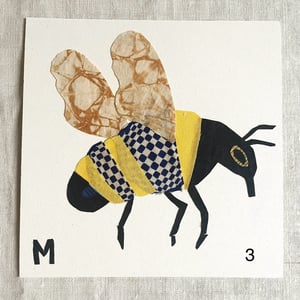 Image of square collage / insectes 