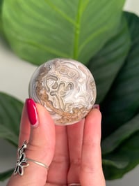 Image 3 of MEXICAN LACE AGATE SPHERE A