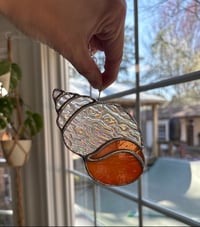 Image 2 of Seashell