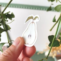 Image 2 of pear sticker