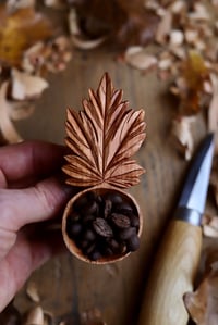 Image 8 of Maple Leaf Coffee  Scoop