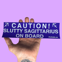 Image 9 of Zodiac Bumper Stickers