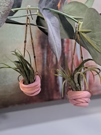 Image 5 of Airplant Earrings