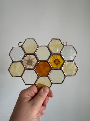 Honeycomb with Calendula and Pincushion flowers