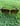 Tortoise Brown Sunglasses 