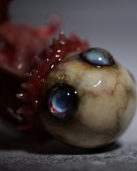 Image 19 of T. Ocellus 2” sculpture