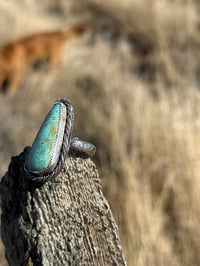 Image 2 of Turquoise Mountain Bloom