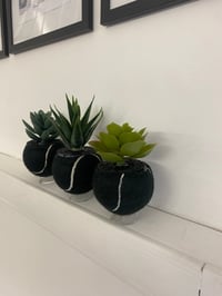 Image 3 of BK ACE IN PLACE