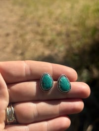 Evergreen Studs