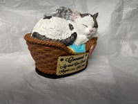 Image 13 of Custom Engraved Handpainted Sleeping Cat In Basket Urn