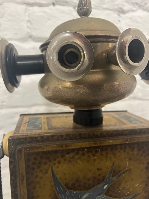 Image of Bluey Flickthebird