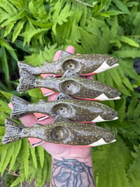 Brook Trout