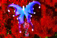 Image 1 of Butterfly