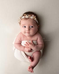 Image 5 of Vintage Roses Halo - Bailey