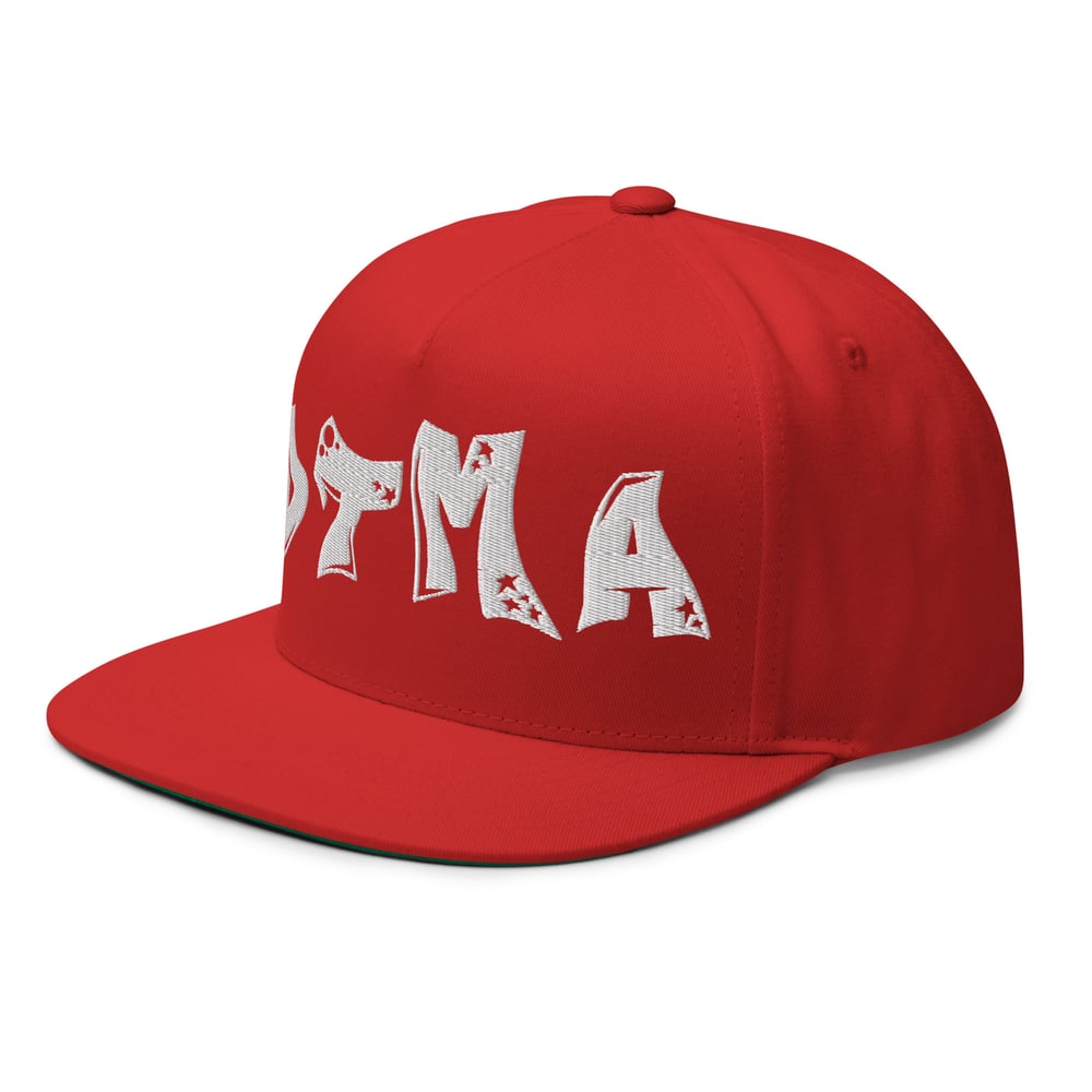 DTMA SNAPBACK