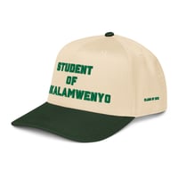 Image 3 of Student of Life