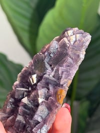 Image 2 of NATURAL RAINBOW IRIDESCENT CUBIC FLUORITE -CHINA- R