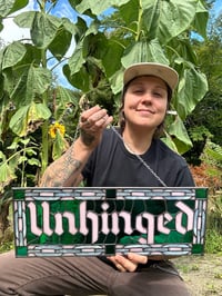 Image 2 of Unhinged