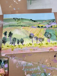 Image 4 of Gingham Vineyards, Barossa II 