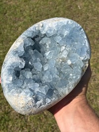 Image 8 of Celestite Cluster #1059
